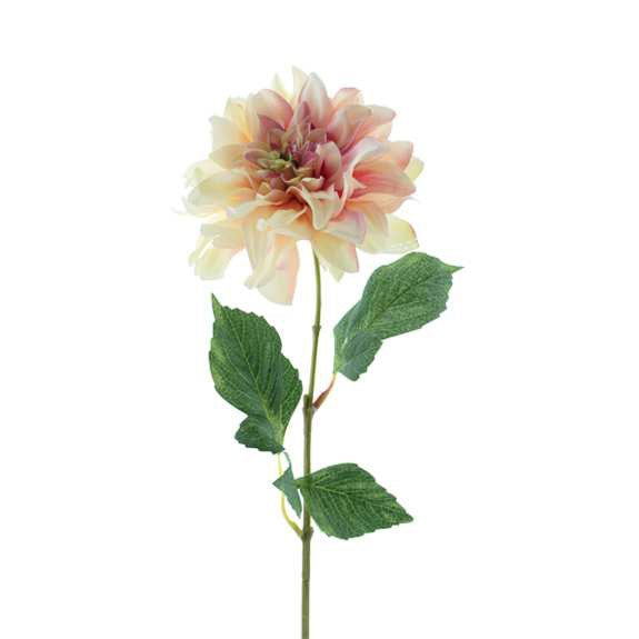 Zijdebloem - Dahlia - 63 cm - Creme - Silkartflowers.com