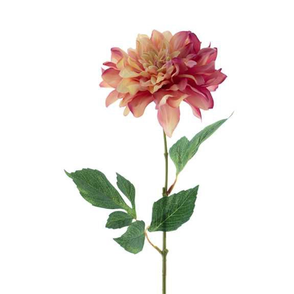 Zijdebloem - Dahlia - 63 cm - Creme/Roze - Silkartflowers.com