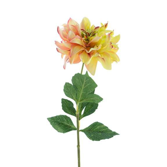 Zijdebloem - Dahlia - 63 cm - Groen/Roze - Silkartflowers.com