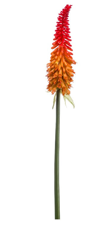 Zijdebloem - Kniphofia - 85 cm - Silkartflowers.com