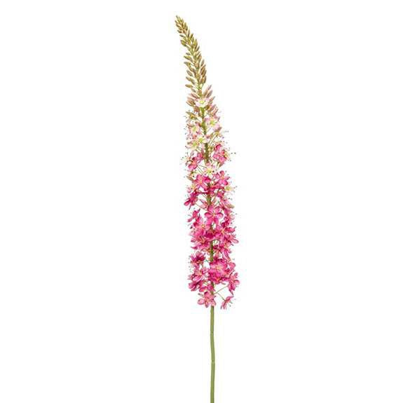 Fleurs en soie - Eremurus - 130 cm