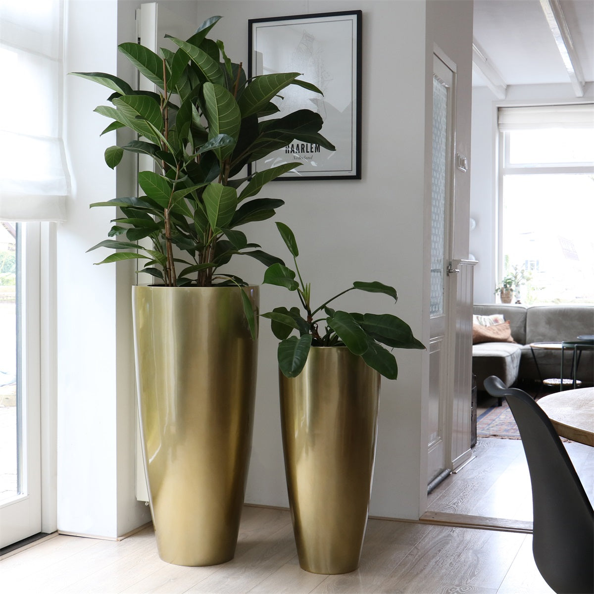 hoge pot met plant Kentucky hoge pot