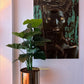 Zijdeplant - Taro - 100 cm - Silkartflowers.com