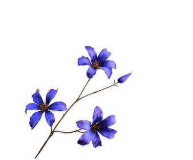 Zijdebloem - Clematis goud/blauw - 73 cm - Blauw/goud - Silkartflowers.com