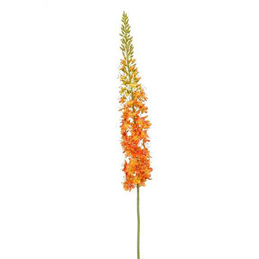 Zijdebloemen - Eremurus - 130 cm - Oranje - Silkartflowers.com